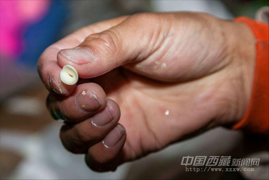 靈巧地卷成耳狀。