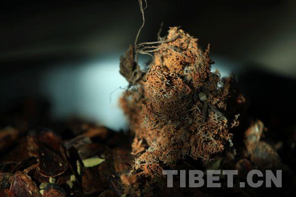 用來制作藏香的香料
