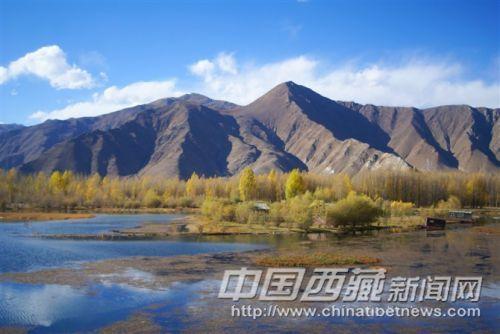 達(dá)孜境內(nèi)318國(guó)道沿線秋色