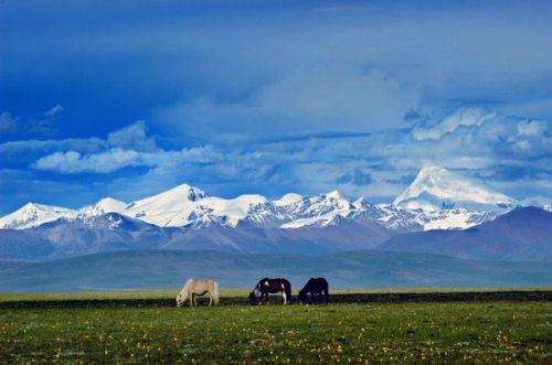 從遠(yuǎn)處眺望念青唐古拉山。（圖片來源于網(wǎng)絡(luò)）