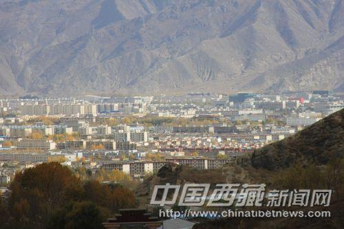 從娘熱溝高處的空地上眺望，遠(yuǎn)處成片金黃的樹林分布在城區(qū)的每個(gè)角落。