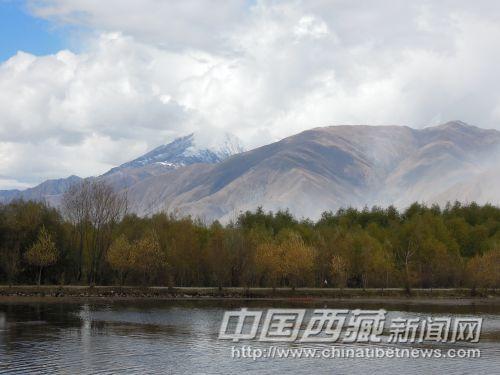 小樹林和群山襯托了池塘的美麗。