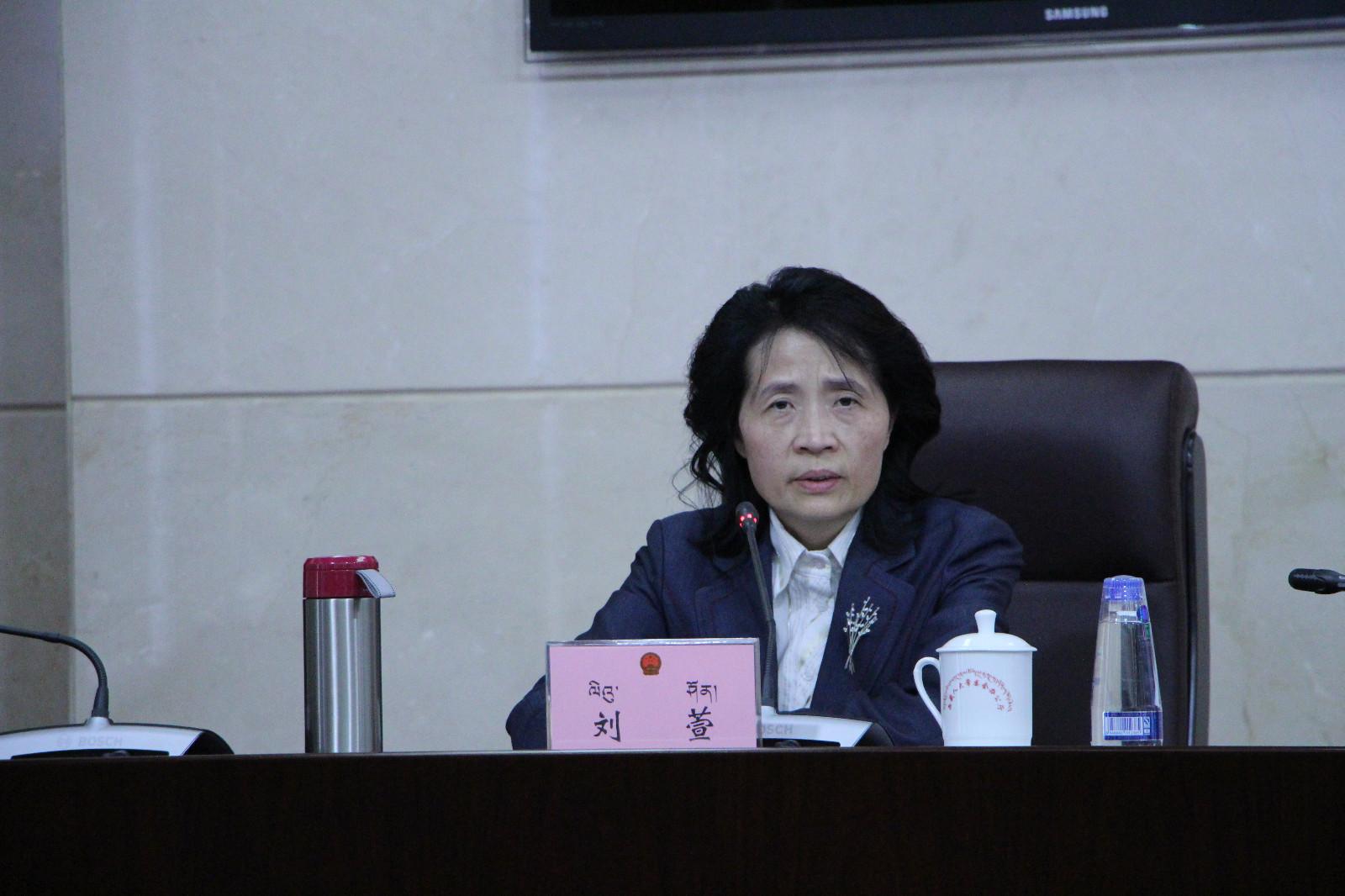西藏自治區(qū)政府副秘書長、政府新聞發(fā)言人 劉萱.JPG