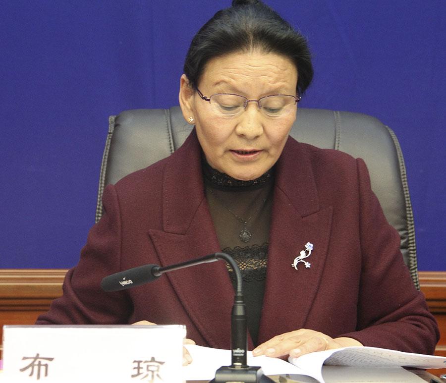 布瓊 區(qū)國(guó)土資源廳副廳長(zhǎng).jpg