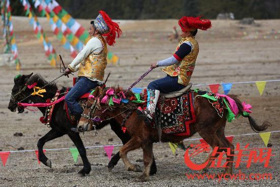 廣東省重點(diǎn)援藏項(xiàng)目——林芝魯朗國(guó)際旅游小鎮(zhèn)正式開業(yè)！_金羊網(wǎng)新聞