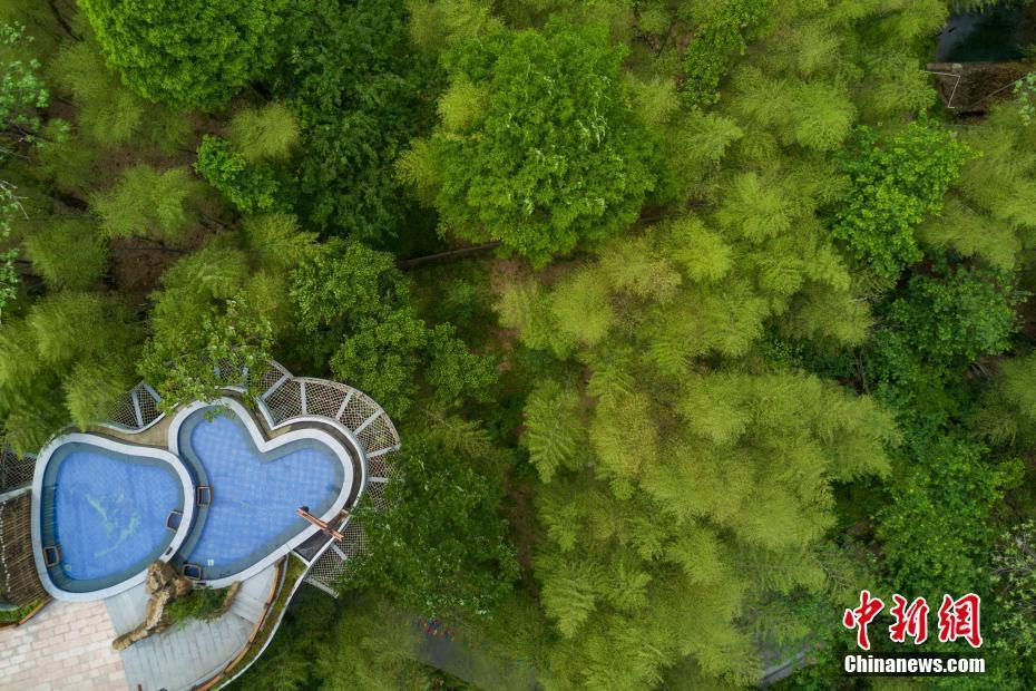 4月27日，航拍江蘇溧陽南山竹海，呈現(xiàn)春意盎然的景象。江蘇溧陽天目湖南山竹海地處江蘇、浙江和安徽三省交界處，以竹文化和壽文化為主題，坐擁3.5萬畝翠竹。圖為竹海中的兩顆“心”。中新社記者 泱波 攝