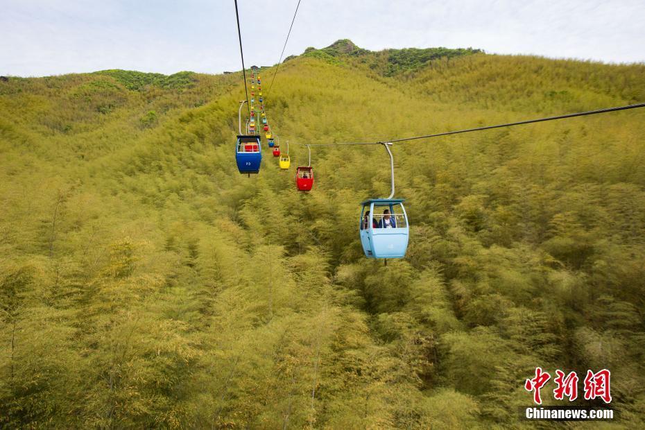 4月27日，航拍江蘇溧陽南山竹海，呈現(xiàn)春意盎然的景象。圖為游客乘坐纜車欣賞竹海。中新社記者 泱波 攝