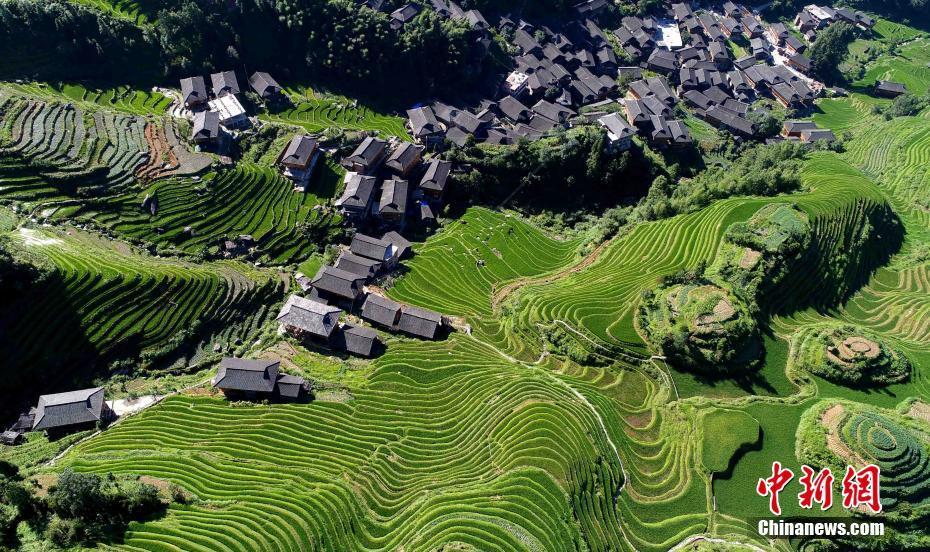 航拍龍脊梯田景色。 潘志祥 攝