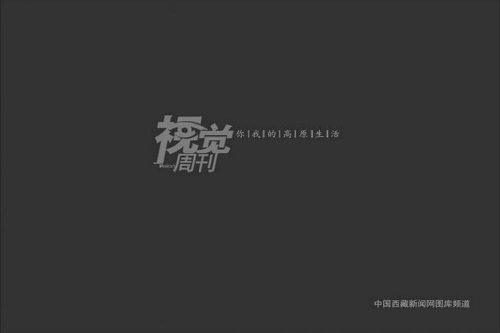 （圖片來源：西藏商報）