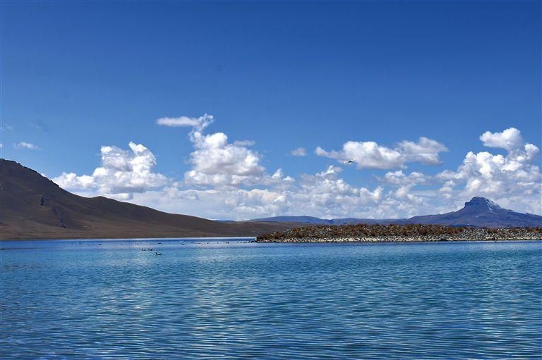 錯(cuò)鄂鳥島位于那曲市申扎縣境內(nèi)，是羌塘自然保護(hù)區(qū)的一部分。湖內(nèi)水草茂盛，魚類資源豐富，是黑頸鶴的棲息地。近年來，羌塘自然保護(hù)區(qū)加大保護(hù)力度，管護(hù)體系進(jìn)一步完善，錯(cuò)鄂鳥島成為鳥的天堂，最多的時(shí)候有各種鳥類三四萬只棲息于此。圖為錯(cuò)鄂鳥島。那曲蹲點(diǎn)報(bào)道組 攝
