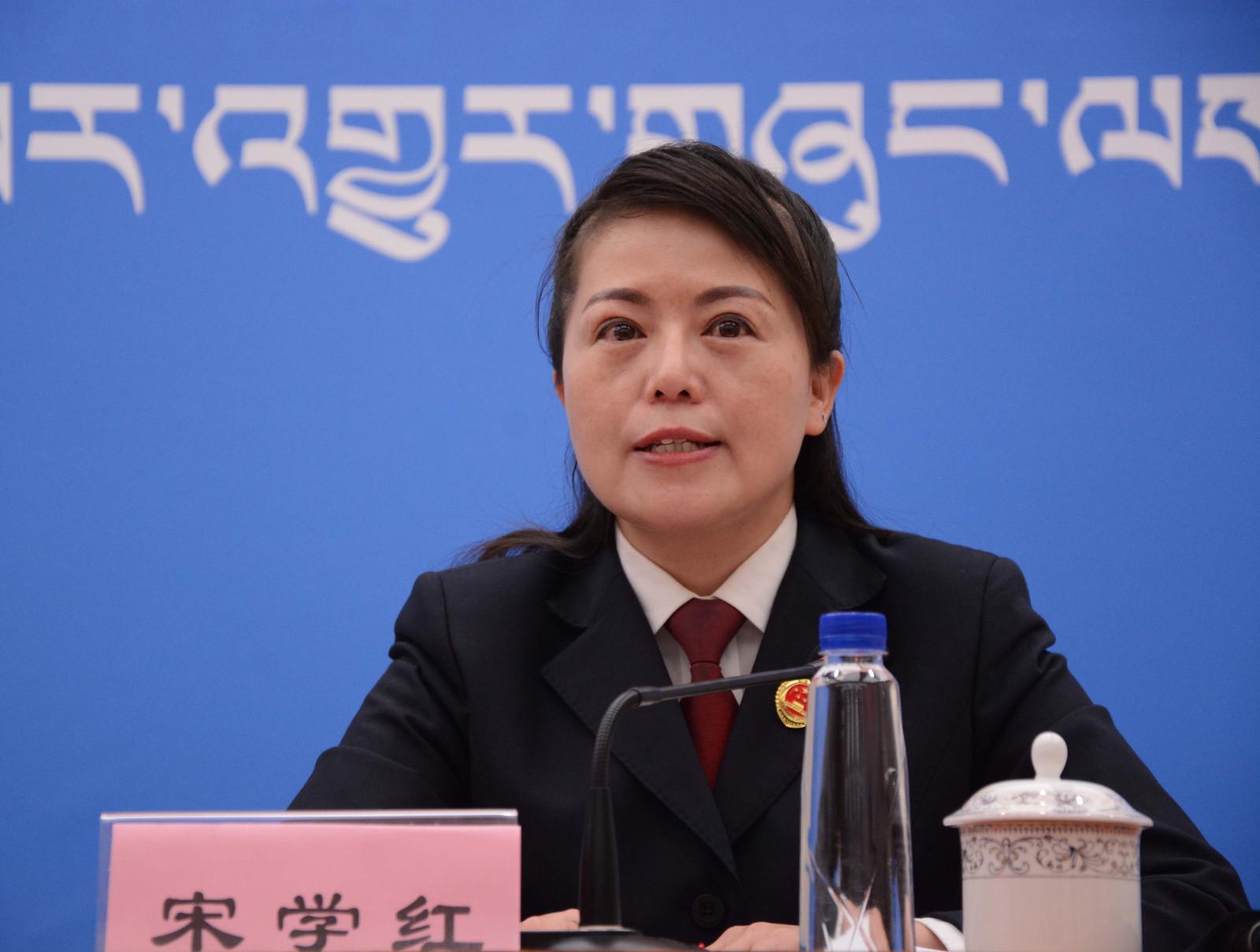 新聞發(fā)言人：自治區(qū)檢察院第九檢查部副主任、四級高級檢察官 宋學(xué)紅.JPG