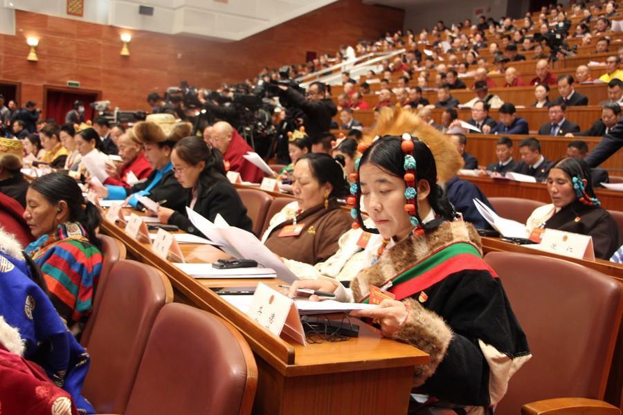 代表在認(rèn)真閱讀會(huì)議材料.JPG
