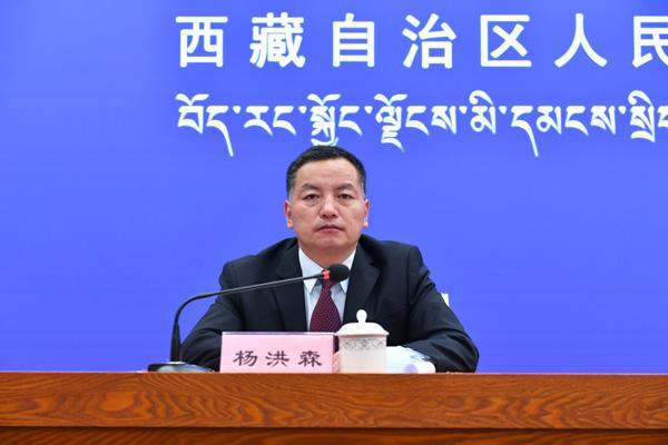 主持人：區(qū)黨委宣傳部對(duì)外傳播處處長 楊洪森.jpg