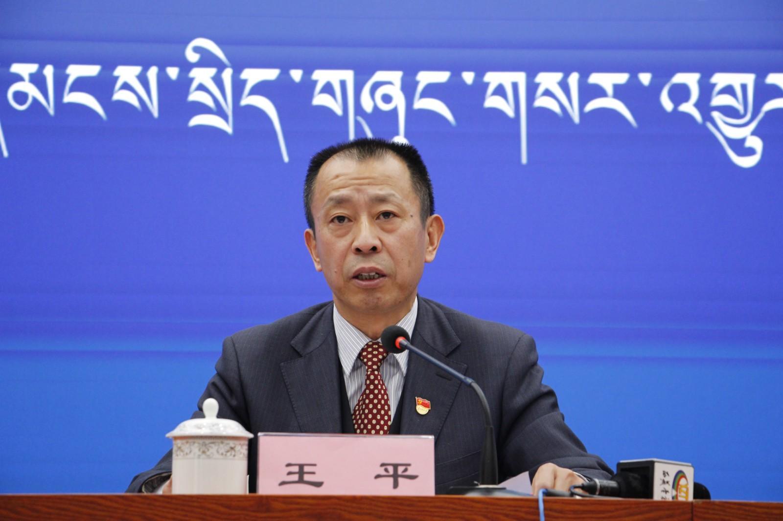 新聞發(fā)言人：西藏自治區(qū)水利廳黨組成員、副廳長王平.JPG