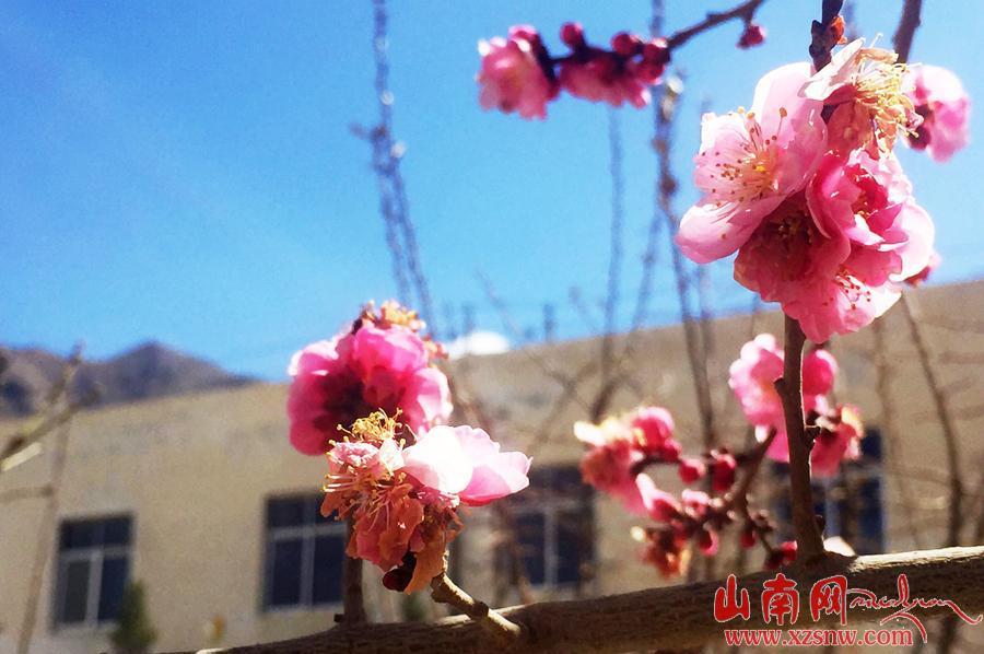 點擊進(jìn)入下一頁