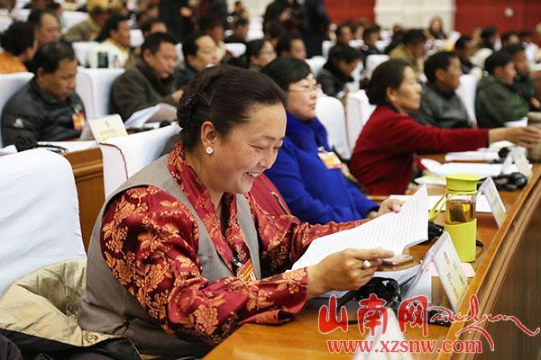 凝聚力量共謀發(fā)展——山南政協(xié)委員積極履職盡責(zé)