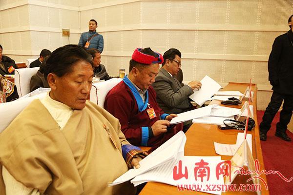 凝聚力量共謀發(fā)展——山南政協(xié)委員積極履職盡責(zé)
