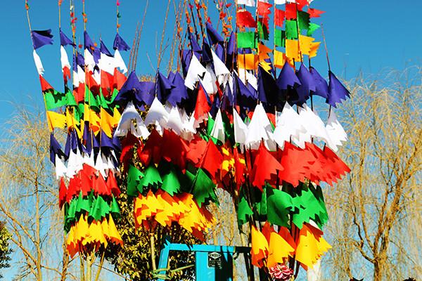 圖為：縫制好的五彩經(jīng)幡樹(shù)。曲杰  攝.jpg